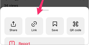 Step 1: Copy URL instruction
