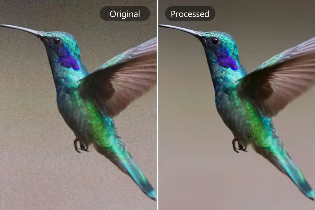 Image Noise Remover